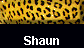  Shaun 