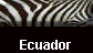  Ecuador 