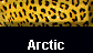  Arctic 