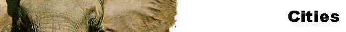  Cities 