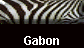  Gabon 