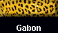  Gabon 