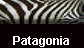  Patagonia 