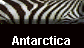  Antarctica 