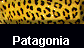  Patagonia 