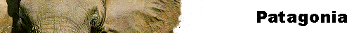  Patagonia 