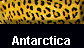  Antarctica 