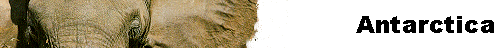  Antarctica 