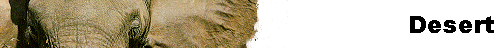  Desert 