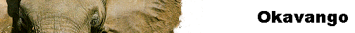  Okavango 