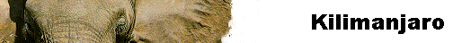  Kilimanjaro 