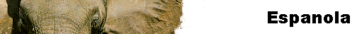  Espanola 