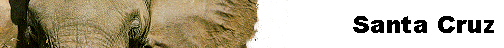  Santa Cruz 