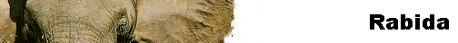  Rabida 