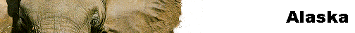  Alaska 