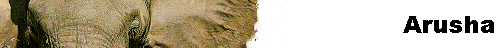  Arusha 