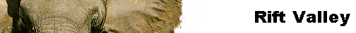  Rift Valley 