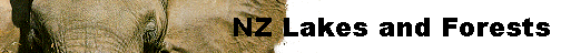  NZ Lakes and Forests 