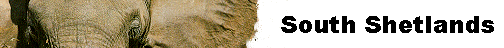  South Shetlands 