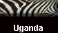  Uganda 