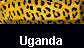  Uganda 