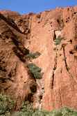 Ayers Rock Valley
