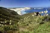 Cape Reinga Beach