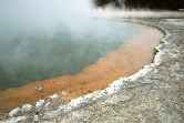 Champagne Pool