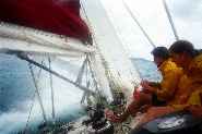 Condor Yacht