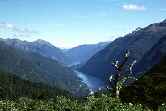 Doubtful Sound