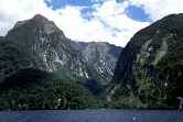 Doubtful Sound View