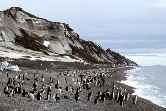 Livingstone Island Beach