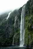 Lakes and Forests