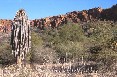 Waterberg