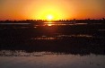 Sunset 2