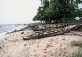 Fishing Boats