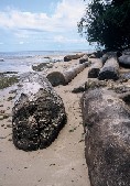 Gabon Beach
