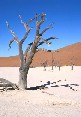 Deadvlei