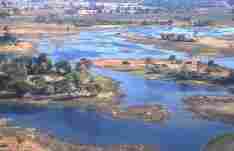 Okavango