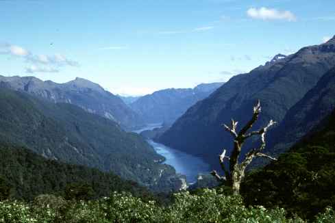 Doubtful Sound