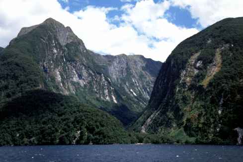 Doubtful Sound View