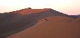 Dune 45 1