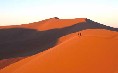 Dune 45 2