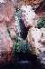 Elves Chasm
