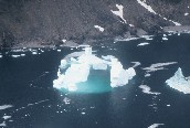 Iceberg