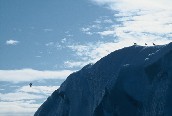 Iceberg 