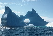 Iceberg