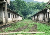 Bombain Plantation