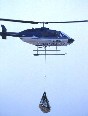 Polar Bear under Chopper