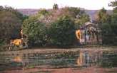 Ranthambore and Shivpuri